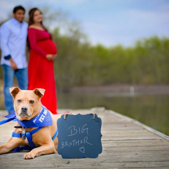 maternity-photography-with-dog